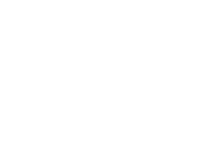 HS Travel